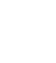 LOGO PERFOSUD en blanco